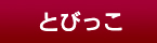 [OPTION｜とびっ子]